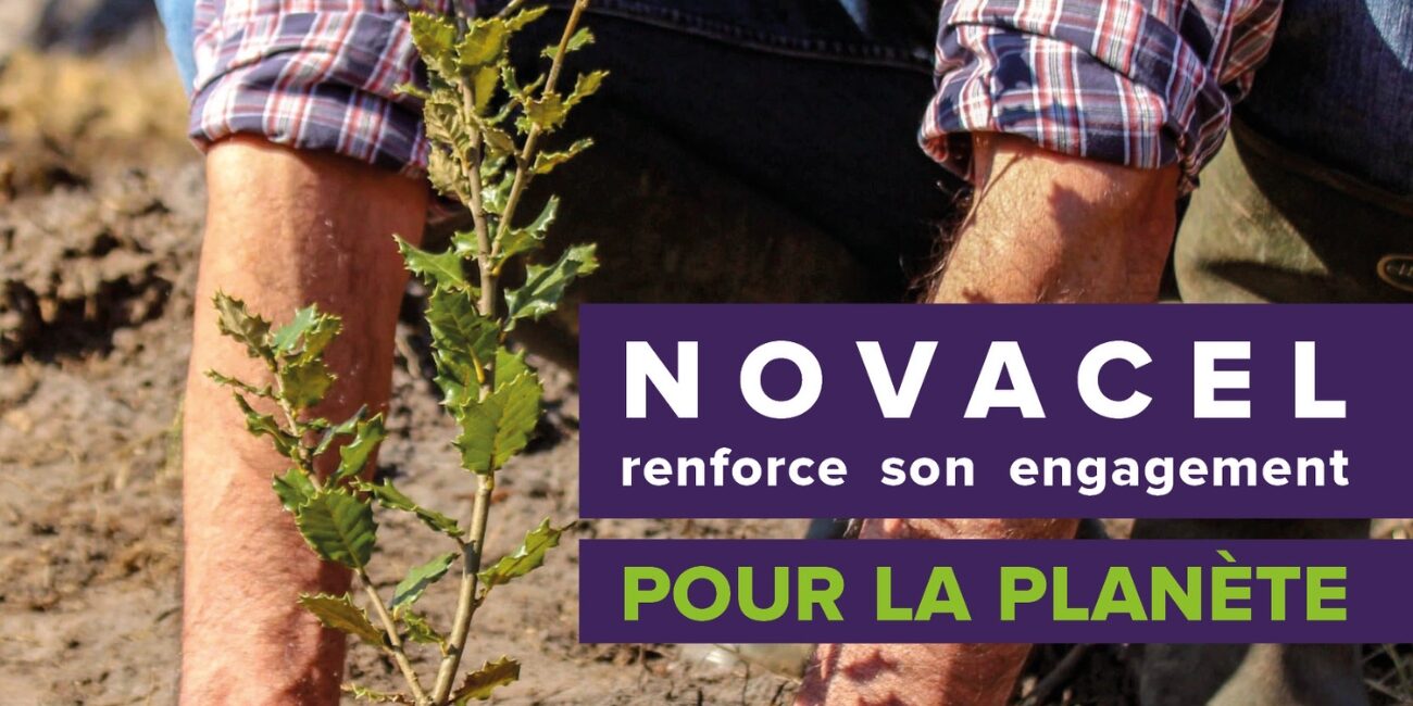 PLANTONS POUR LAVENIR